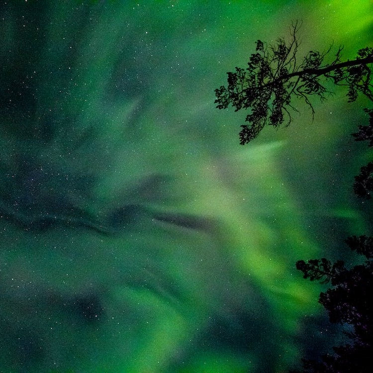 Off the Beaten Whiskey Trail - Alaska Whiskey Trail: Where Nature and Craftsmanship Blend in American Craft Whiskey