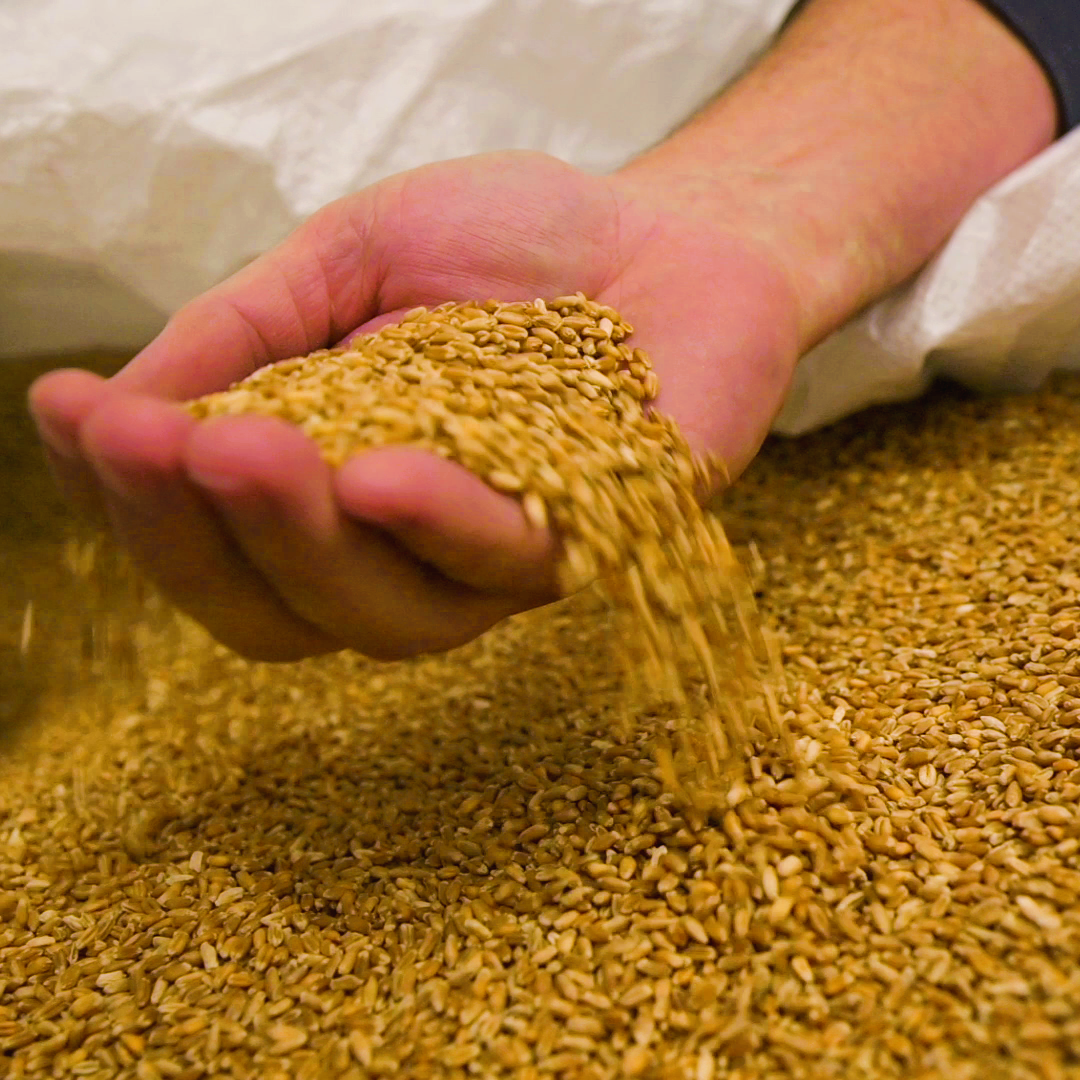 Beyond Bourbon: Exploring Alternative Grains in Craft Whiskey
